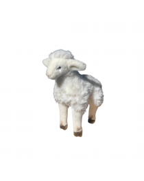 AGNEAU D'OCCASION