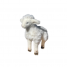 AGNEAU D'OCCASION