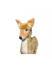 Standing natural fawn