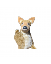 PETITE BICHE NATURELLE COUCHEE