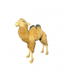 DROMEDARY