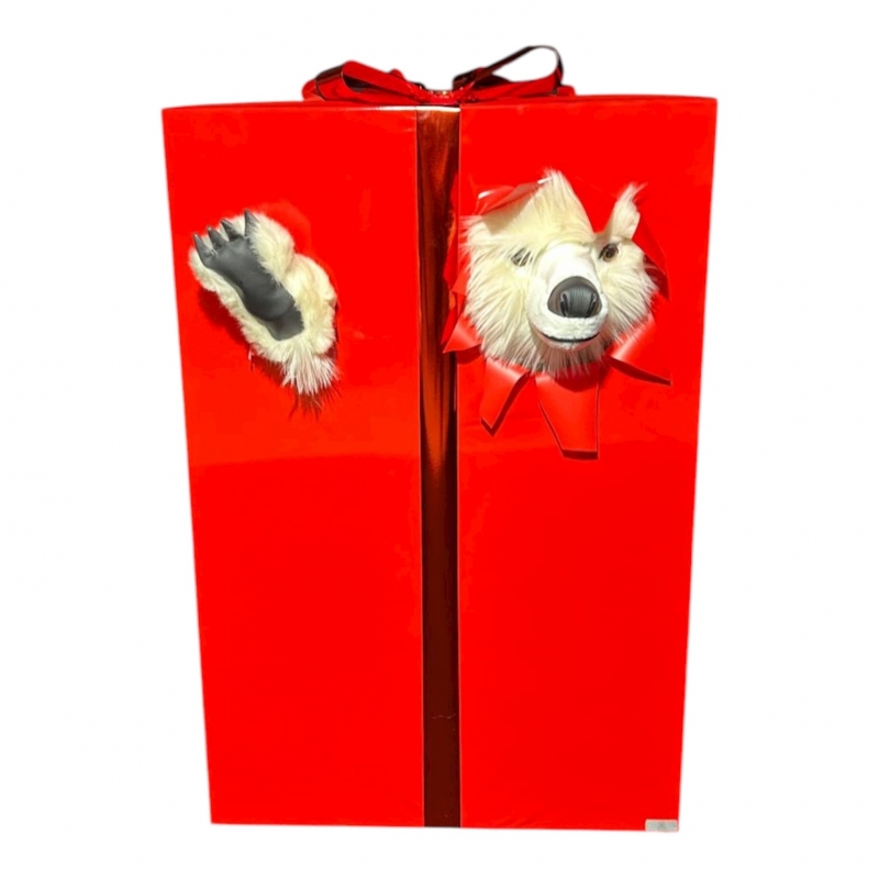 WHITE LEON HIDING IN THE GIFT