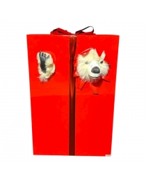 WHITE LEON HIDING IN THE GIFT