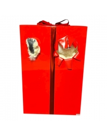 WHITE LEON HIDING IN THE GIFT